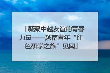 凝聚中越友谊的青春力量——越南青年“红色研学之旅”见闻