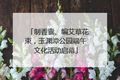 制香囊、编艾草花束，玉渊潭公园端午文化活动启幕