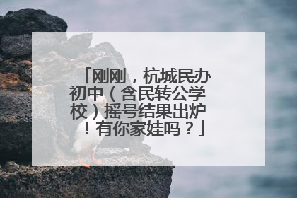 刚刚，杭城民办初中（含民转公学校）摇号结果出炉！有你家娃吗？