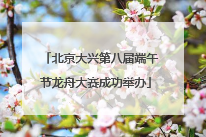 北京大兴第八届端午节龙舟大赛成功举办