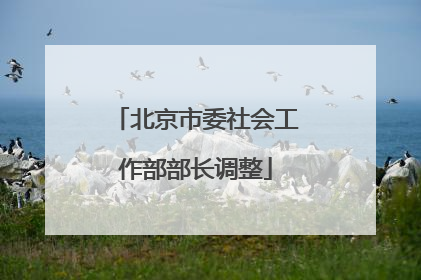 北京市委社会工作部部长调整