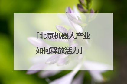 北京机器人产业如何释放活力