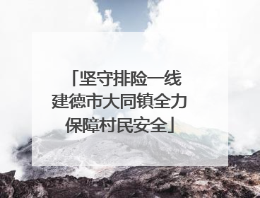 坚守排险一线 建德市大同镇全力保障村民安全