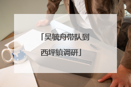 吴毓舟带队到西坪镇调研
