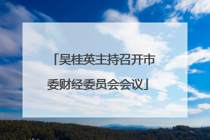 吴桂英主持召开市委财经委员会会议