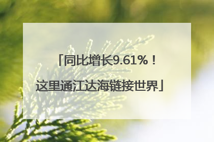 同比增长9.61%！这里通江达海链接世界