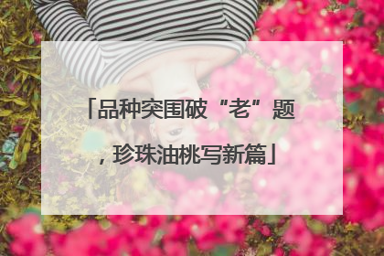 品种突围破“老”题，珍珠油桃写新篇