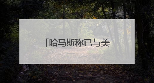 哈马斯称已与美特使就加沙停火总体框架达成协议