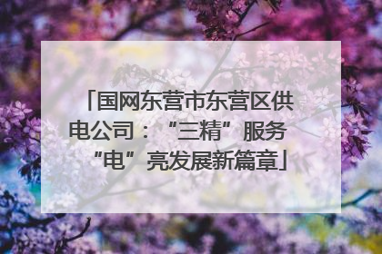 国网东营市东营区供电公司：“三精”服务“电”亮发展新篇章