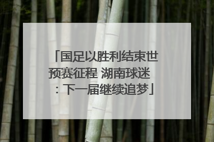 国足以胜利结束世预赛征程 湖南球迷：下一届继续追梦