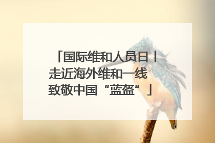 国际维和人员日丨走近海外维和一线 致敬中国“蓝盔”