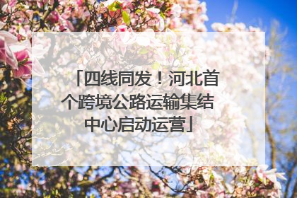 四线同发！河北首个跨境公路运输集结中心启动运营