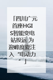 四川广元首座HGIS智能变电站投运 为迎峰度夏注入“电动力”