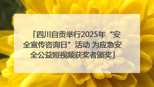 四川自贡举行2025年“安全宣传咨询日”活动 为应急安全公益短视频获奖者颁奖