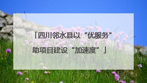 四川邻水县以“优服务”助项目建设“加速度”