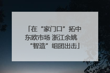 在“家门口”拓中东欧市场 浙江余姚“智造”组团出击