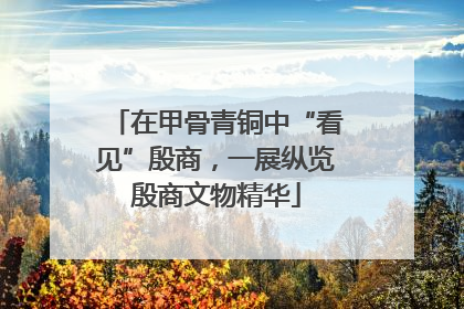 在甲骨青铜中“看见”殷商，一展纵览殷商文物精华