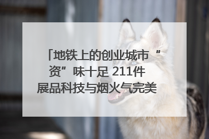 地铁上的创业城市“资”味十足 211件展品科技与烟火气完美融合｜西博视界
