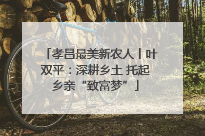 孝昌最美新农人丨叶双平：深耕乡土 托起乡亲“致富梦”