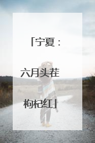 宁夏：六月头茬枸杞红