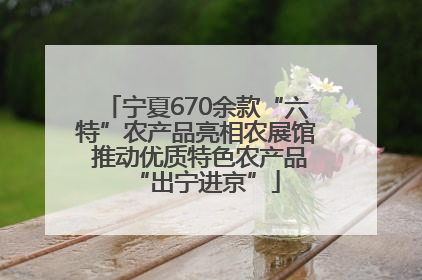 宁夏670余款“六特”农产品亮相农展馆 推动优质特色农产品“出宁进京”