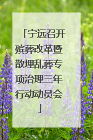 宁远召开殡葬改革暨散埋乱葬专项治理三年行动动员会