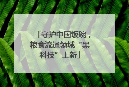守护中国饭碗，粮食流通领域“黑科技”上新