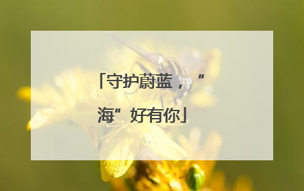 守护蔚蓝，“海”好有你
