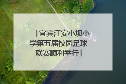 宜宾江安小坝小学第五届校园足球联赛顺利举行