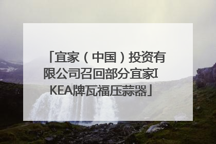 宜家（中国）投资有限公司召回部分宜家IKEA牌瓦福压蒜器
