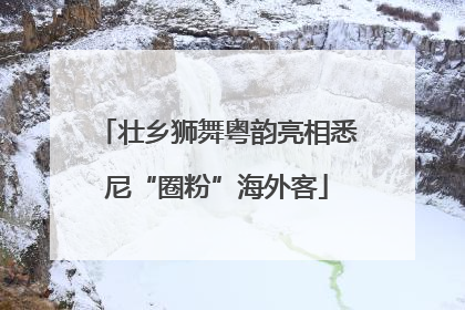 壮乡狮舞粤韵亮相悉尼“圈粉”海外客