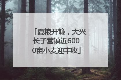 夏粮开镰，大兴长子营镇近6000亩小麦迎丰收