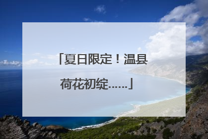 夏日限定！温县荷花初绽……