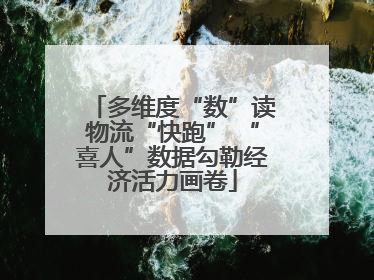 多维度“数”读物流“快跑” “喜人”数据勾勒经济活力画卷