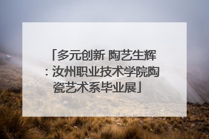 多元创新 陶艺生辉：汝州职业技术学院陶瓷艺术系毕业展