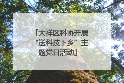大祥区科协开展“送科技下乡”主题党日活动