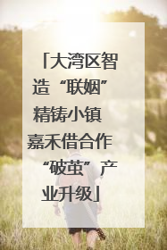 大湾区智造“联姻”精铸小镇 嘉禾借合作“破茧”产业升级