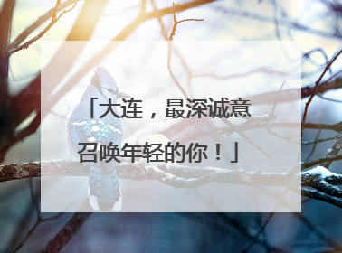 大连，最深诚意召唤年轻的你！