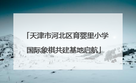 天津市河北区育婴里小学国际象棋共建基地启航