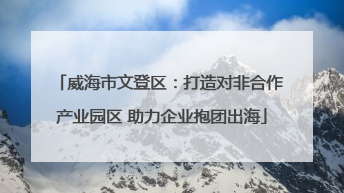 威海市文登区：打造对非合作产业园区 助力企业抱团出海