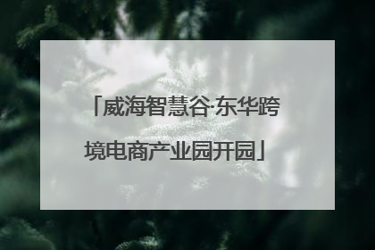 威海智慧谷·东华跨境电商产业园开园