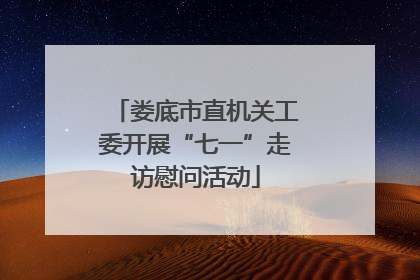 娄底市直机关工委开展“七一”走访慰问活动