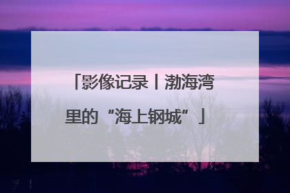 影像记录丨渤海湾里的“海上钢城”