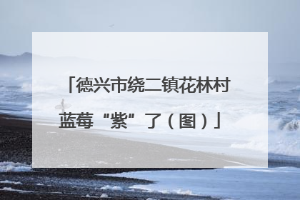 德兴市绕二镇花林村蓝莓“紫”了（图）