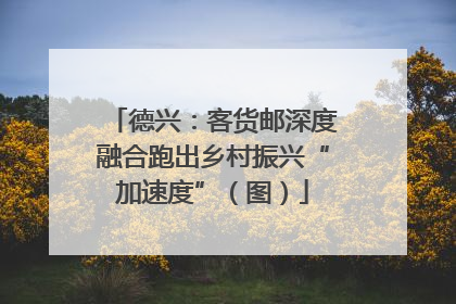 德兴：客货邮深度融合跑出乡村振兴“加速度”（图）