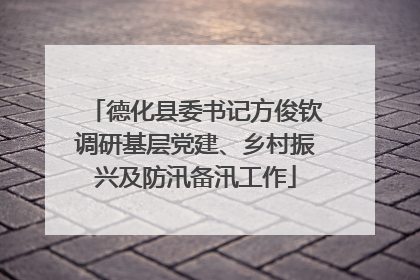德化县委书记方俊钦调研基层党建、乡村振兴及防汛备汛工作