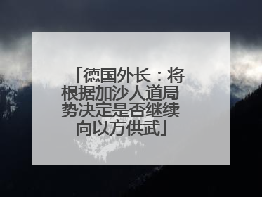 德国外长：将根据加沙人道局势决定是否继续向以方供武