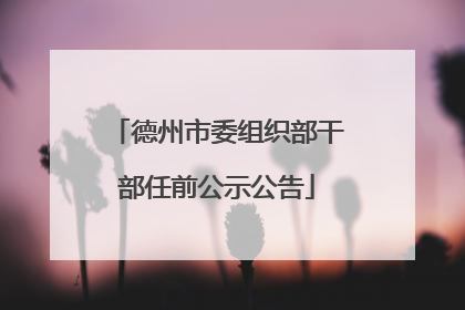 德州市委组织部干部任前公示公告