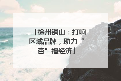 徐州铜山：打响区域品牌，助力“杏”福经济