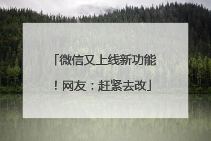 微信又上线新功能！网友：赶紧去改